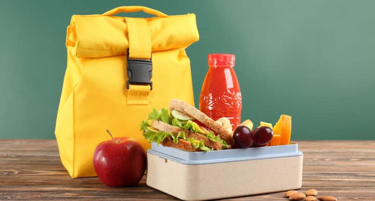 Best Insulated Lunch Box