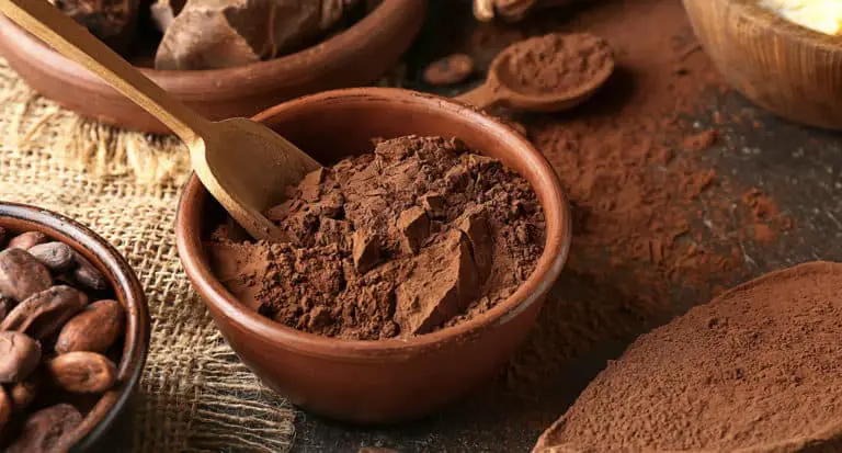 Best Cocoa Powder