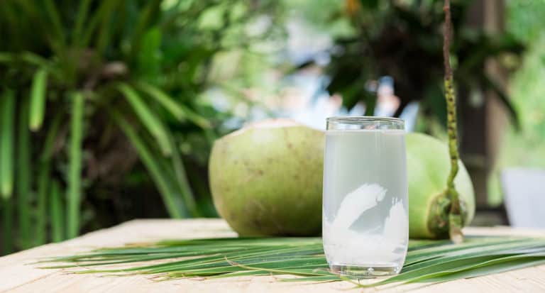 Best Coconut Water Brands