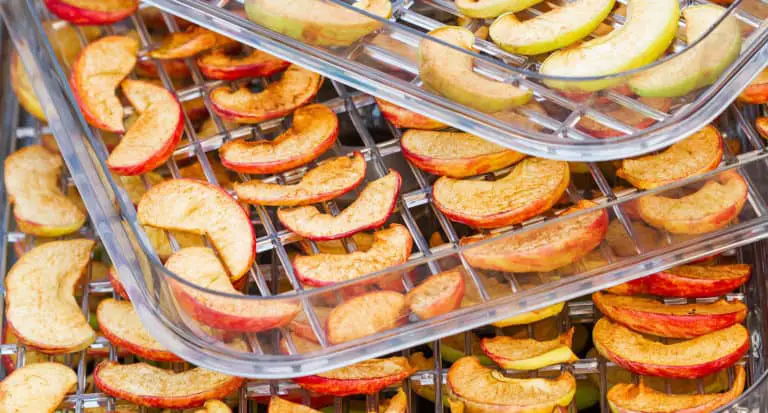 Best Food Dehydrators