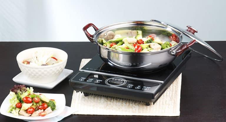 Best Portable Electric Stove