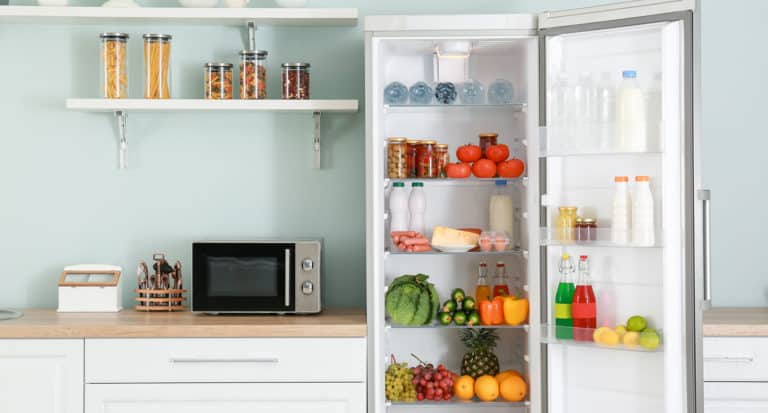 Best Counter Depth Refrigerator