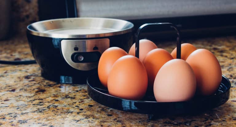 Best Egg Cooker