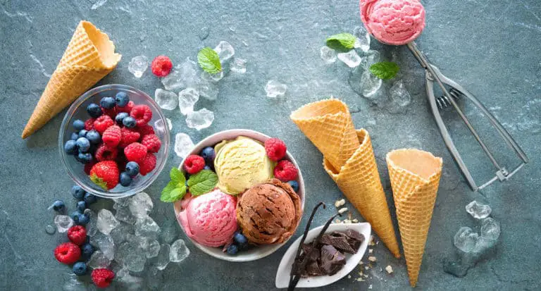 Best Ice Cream Maker