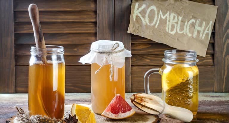 Best Kombucha Brands