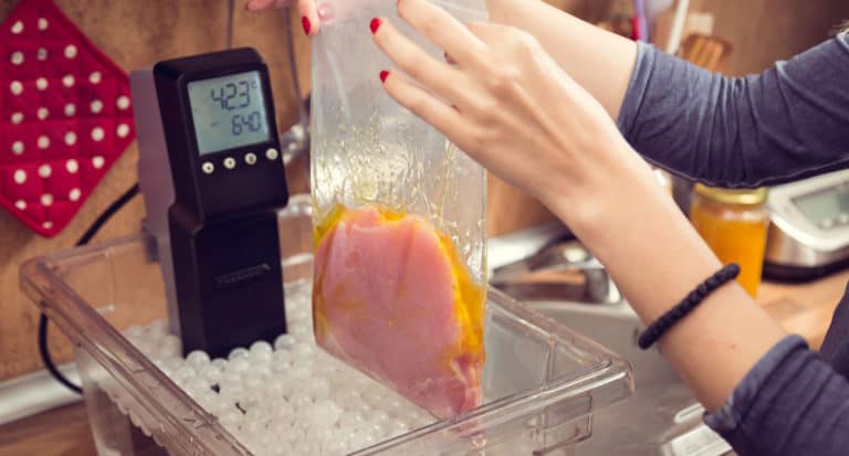 Best Sous Vide Cooker