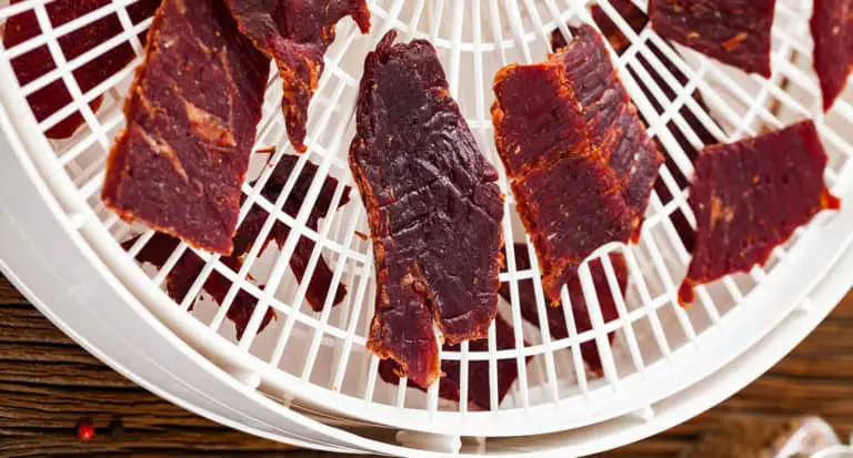 Best Food Dehydrator for Jerky