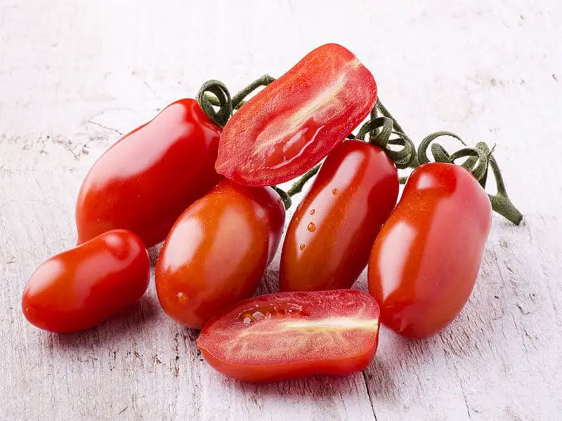 Freshly Picked Marzano Tomatoes