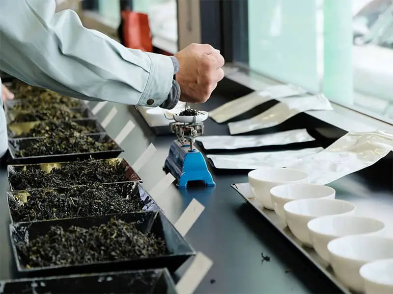 Tea Tasting Lab Grading