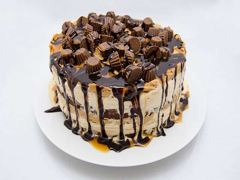 Chocolate Ice Cream Cake