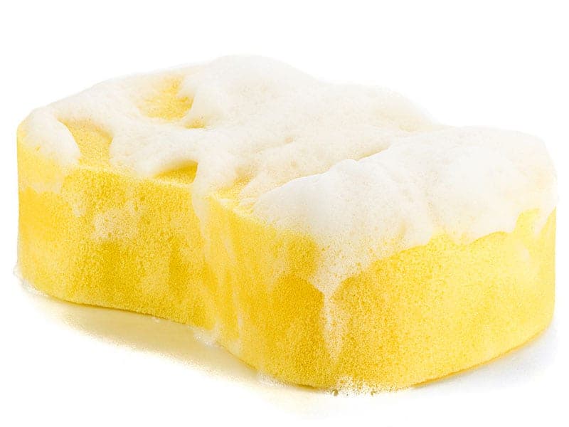 Cleaning Sponge Soap Sud