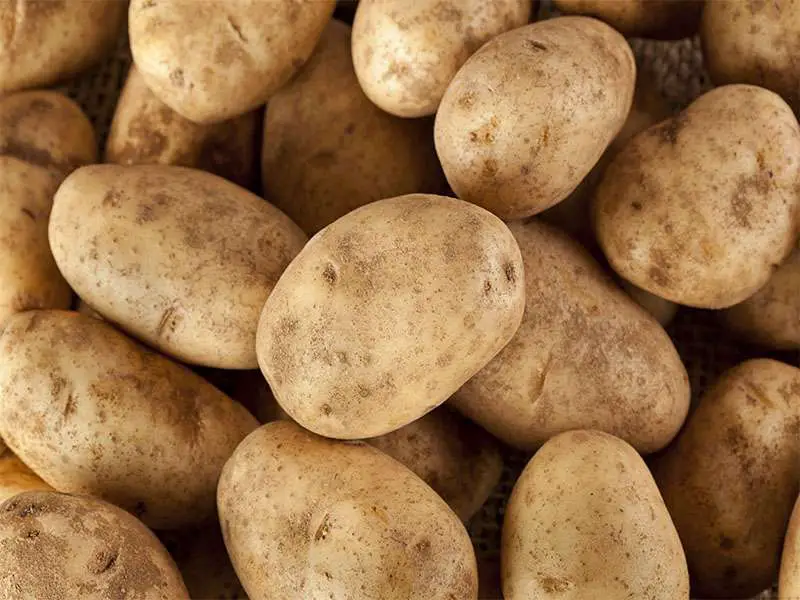 Idaho Potatoes