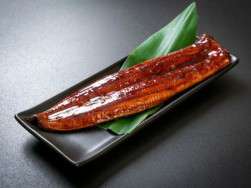 Grilled Eel Unagi