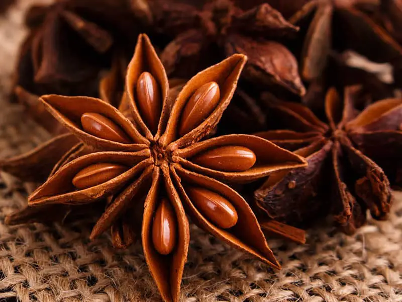 Star Anise