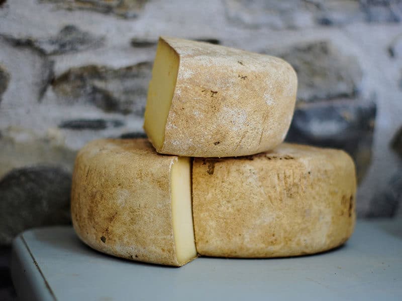 Urgelia Cheese