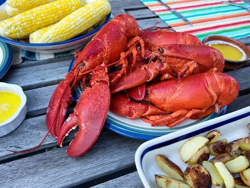 Freshly Steamed Whole Maine Lobsters