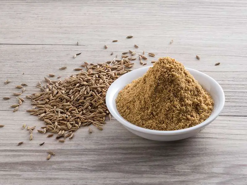 Cumin Powder