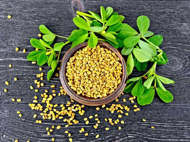 Fenugreek Seeds