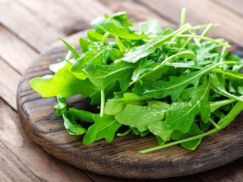 Fresh Arugula