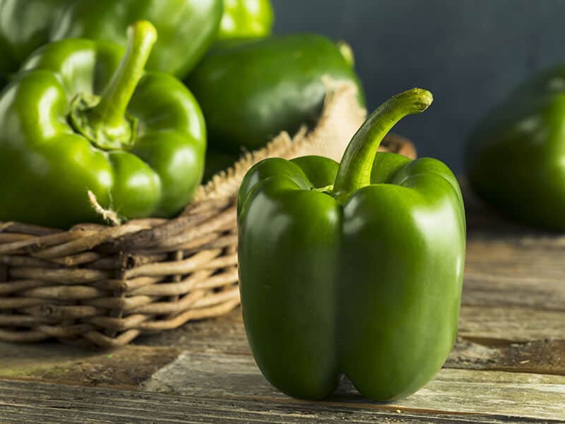 Green Bell Peppers