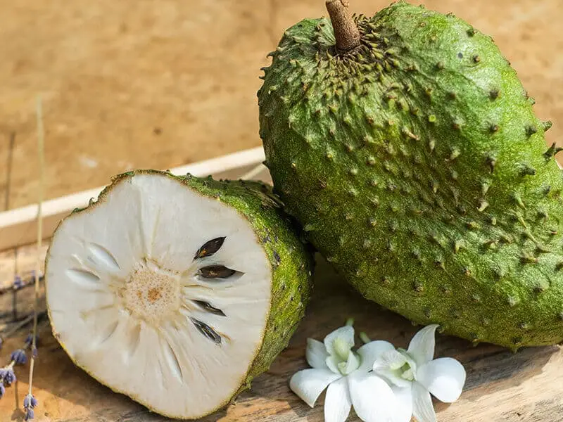 Green Soursop