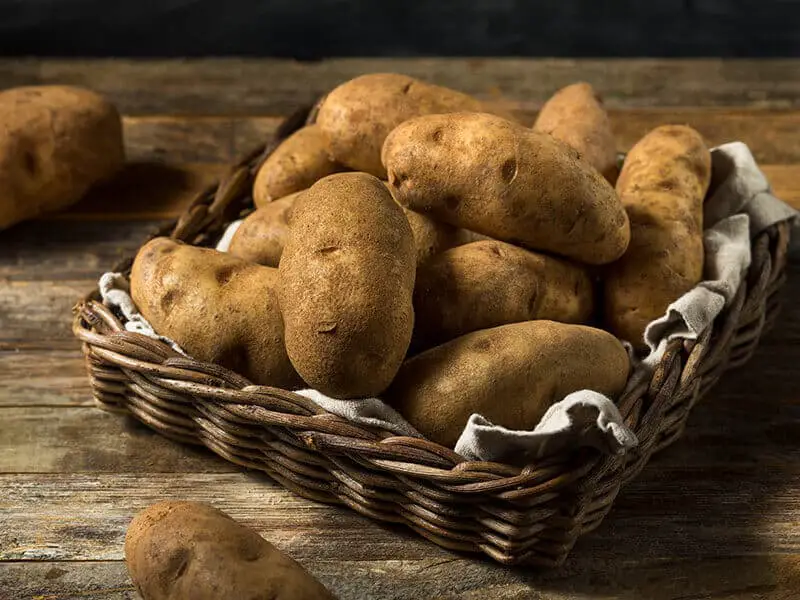 Russet Potatoes