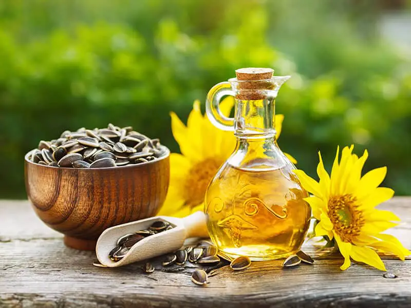 Sunflower Oil