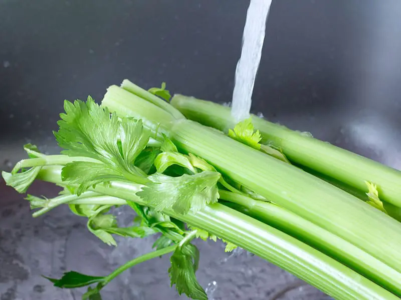 Celery Stalk Leaves