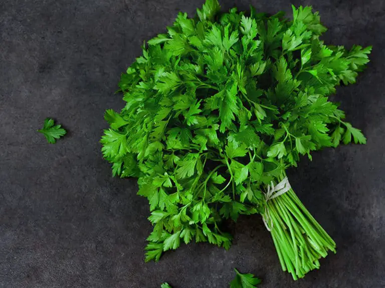 What Does Parsley Taste Like