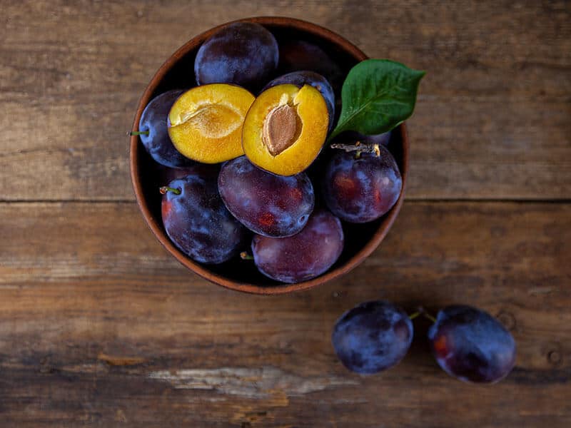 Blue Plum Bowl