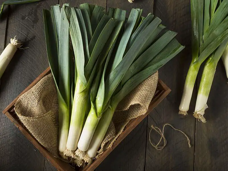 Organic Leeks