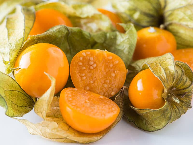 Physalis Fruit