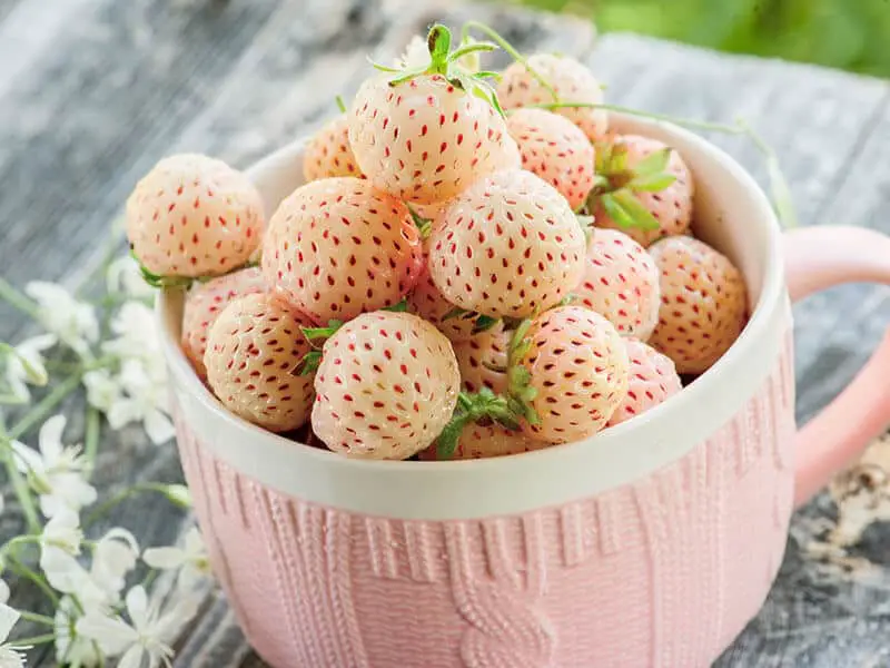 Pineberry Fruit