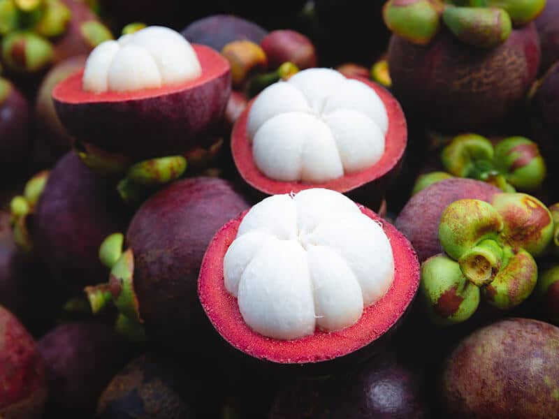 Purple Mangosteen