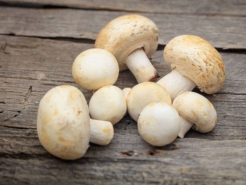 Button Mushrooms