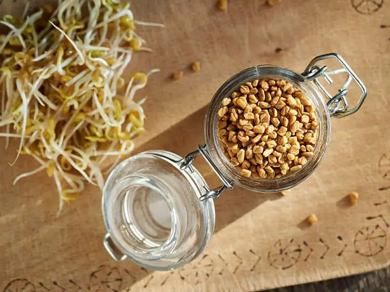 Dry Fenugreek