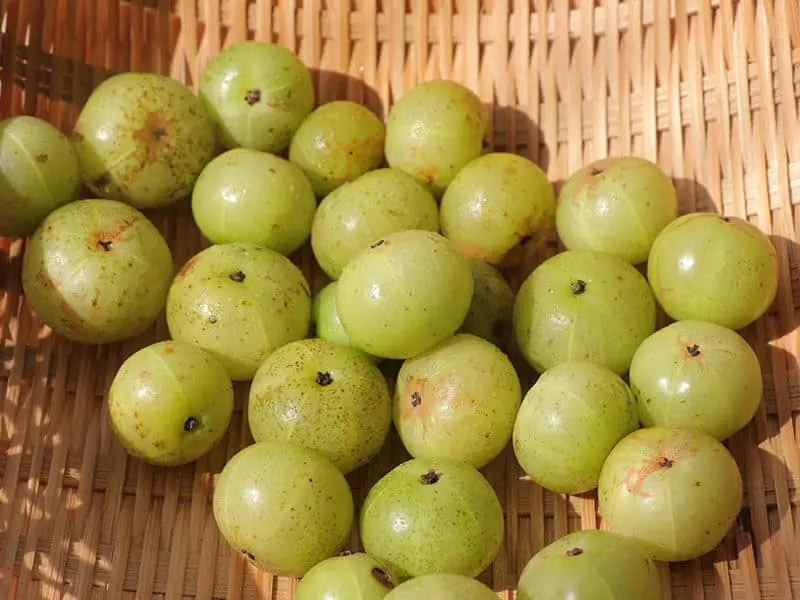 Indian Gooseberries