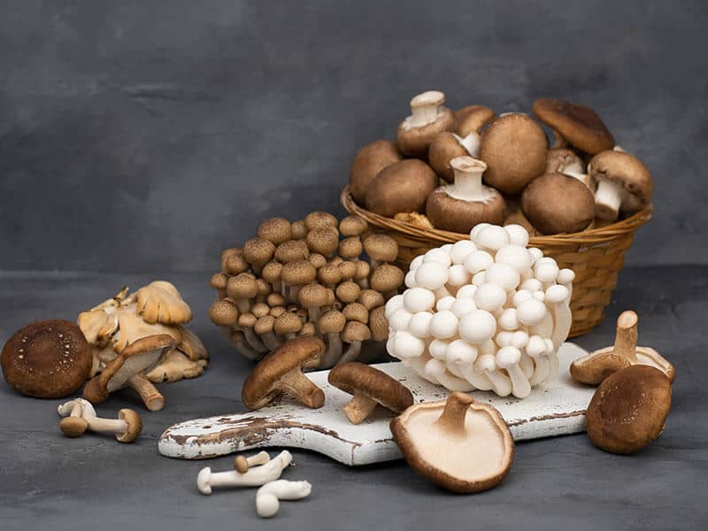 13 Best Shiitake Mushrooms Substitutes