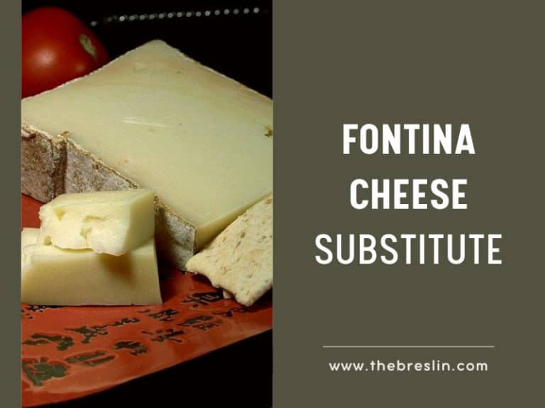 Swiss Cheese Substitutes