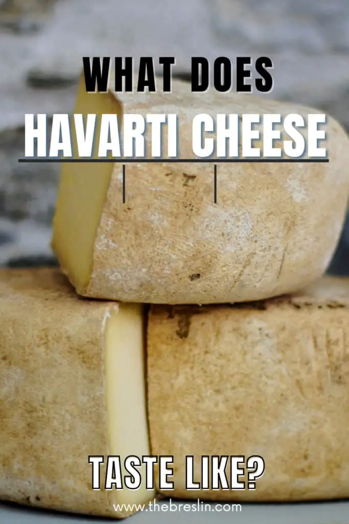 What Does Havarti Cheese Taste Like