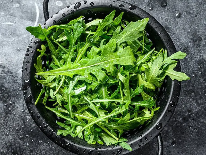 Fresh Arugula Leaves Colander