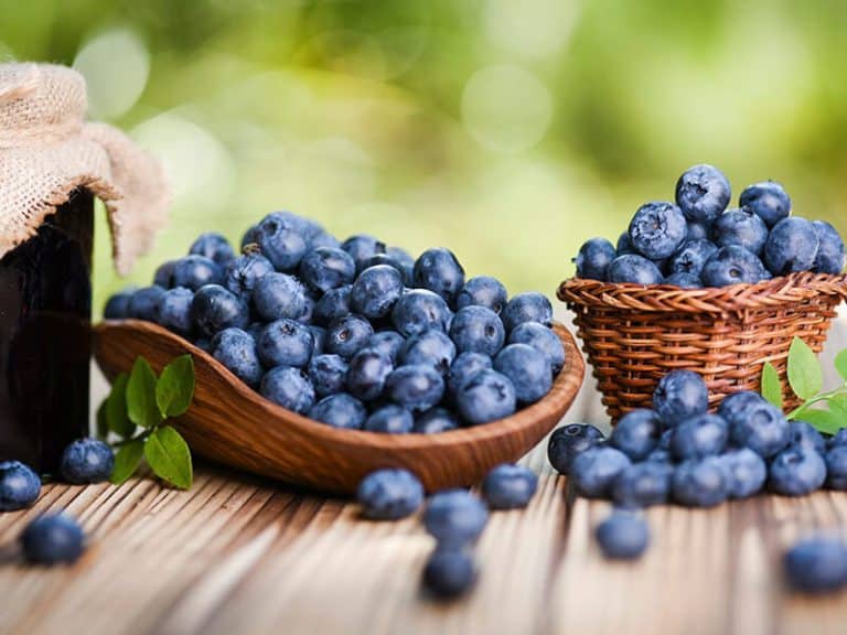 How To Freeze Blueberries