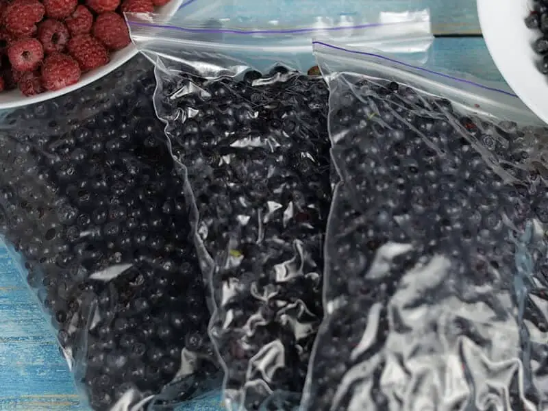 Packing Berries In Zipper Plastic Bags