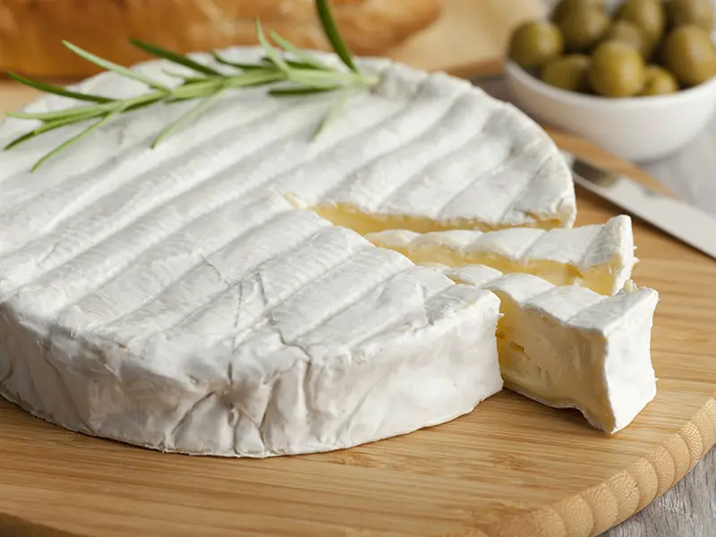 Brie Cheese Shelf Life