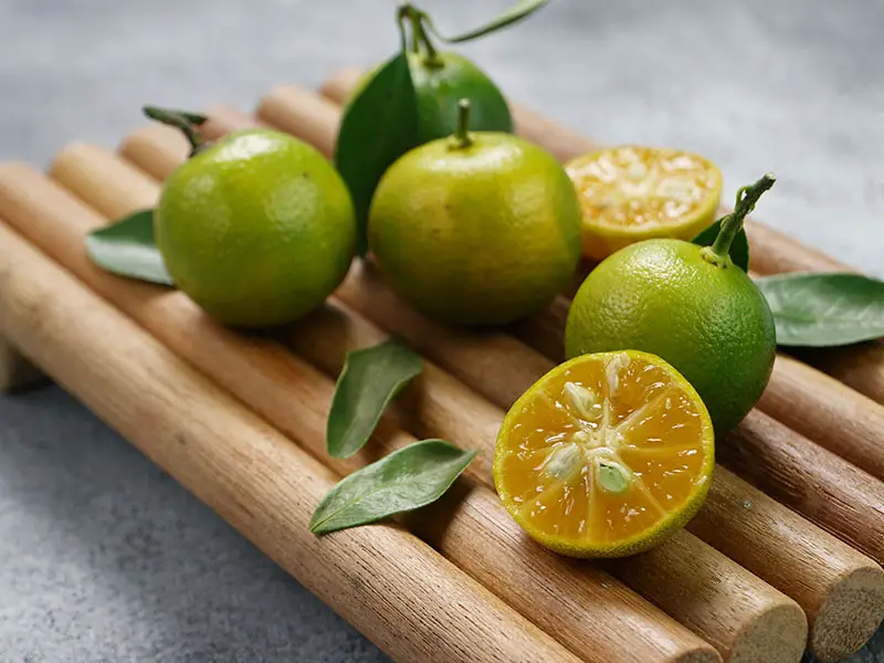 Calamansi Citrus