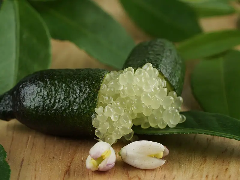 Finger Limes