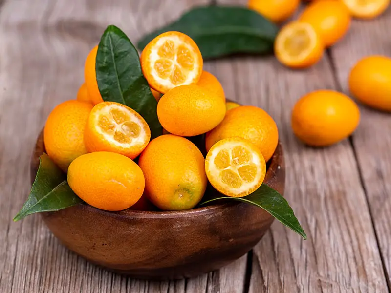 Kumquats Citrus