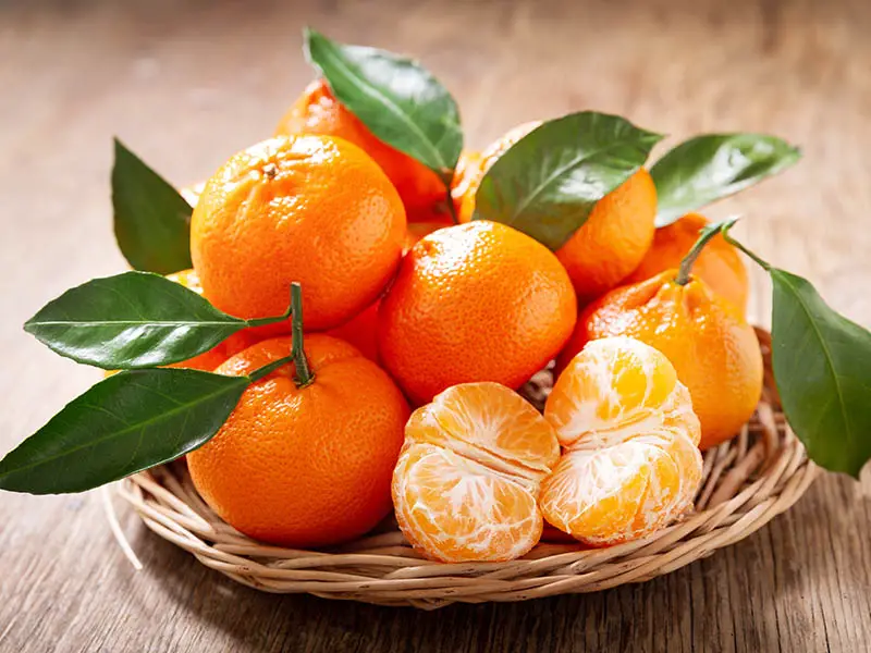 Mandarin Oranges Citrus