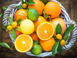 Types Of Citrus Fruits