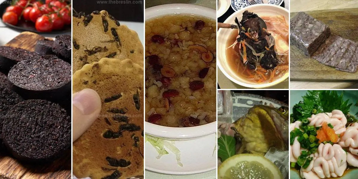 Most Disgusting Foods in the World